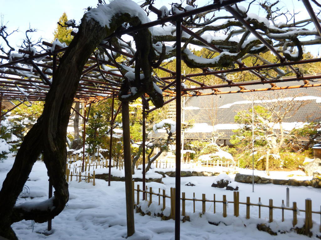 高野山 宿坊 熊谷寺 -Koyasan Shukubo Kumagaiji- Γουακαγιάμα Εξωτερικό φωτογραφία